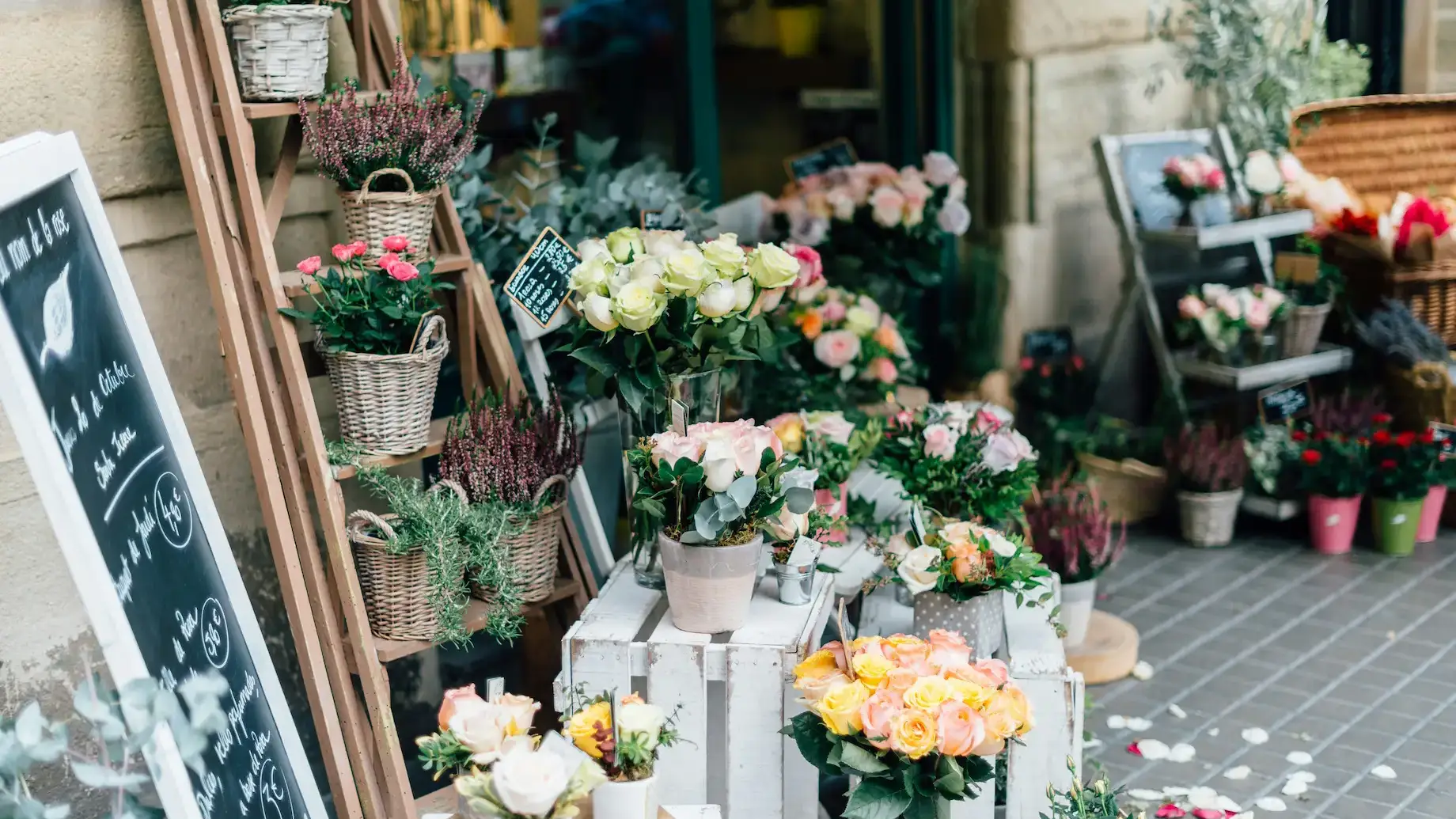 image de fond de la boutique mimie brindille